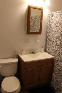 代顿Relaxing 1-Bedroom Apartment In Dayton的一间带卫生间、水槽和镜子的浴室