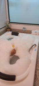 圣代佩德罗拉圣佩德罗旅馆的浴缸里装有葡萄酒