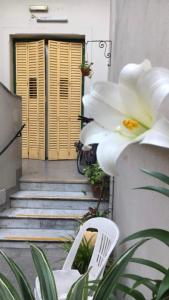布宜诺斯艾利斯Hotel Cuba的坐在一扇门前的白色椅子上,花朵