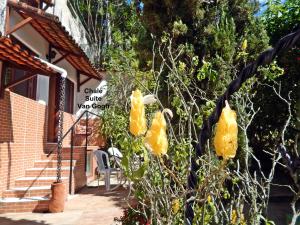 特雷索波利斯Chalés Van Gogh的屋前有黄色花的树