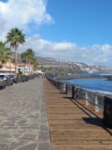 坎德拉里亚Apartamento en Tenerife Islas Canarias的海边的木板路,种有棕榈树