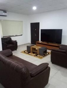 伊巴丹Ibadan Serviced Apartments的带沙发和平面电视的客厅