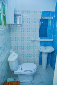 黑角studio brasserie的蓝色的浴室设有卫生间和水槽
