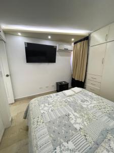 Catia La MarComodo Apartamento frente al Aeropuerto Maiquetia的一间卧室配有一张床和一台平面电视