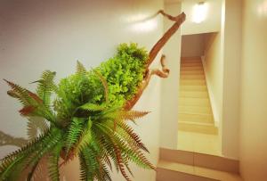 亚依淡2-Bedroom Suite near Kek Lok Si & Penang Hill, Dual key system的楼梯旁墙上的植物