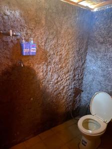 金塔马尼D' Tepi Danau Glamping的石墙内带卫生间的浴室