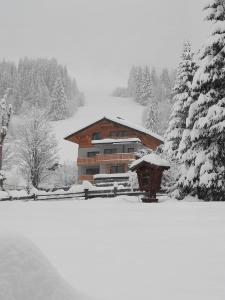 克雷纳尔Zimmer & Appartements Schwarzenbacher Sonja & Konrad的雪覆盖在雪覆盖的院子前的房子