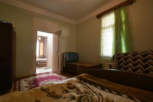 茨卡尔图博Nika house的一间卧室设有床、窗户和沙发
