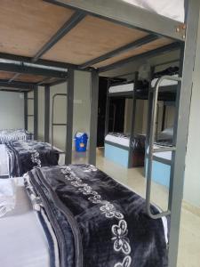 斋浦尔Pink City Backpackers的一间客房内配有两张双层床的房间
