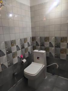 斋浦尔Pink City Backpackers的一间带卫生间和瓷砖墙的浴室