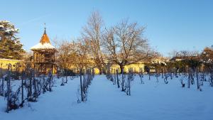 La Côte-Saint-AndréLa ferme de Berlioz的一座被雪覆盖的公园,里面有树木和塔