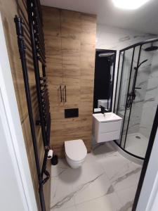 雷布尼克***Santorini Apartament*** - 40m² ✓的浴室配有卫生间、盥洗盆和淋浴。