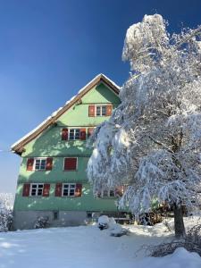 魏勒-锡默贝格Allgäu Cottage的树旁的雪屋
