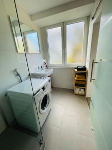 普福尔茨海姆Studio-Apartment nahe Zentrum的一间带洗衣机和水槽的浴室