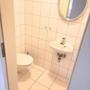 DelkenheimFMI44 Furnished Accommodation的一间带卫生间和水槽的浴室
