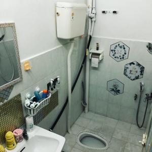 瓜拉弄宾E&Y HOMESTAY的带淋浴、卫生间和盥洗盆的浴室