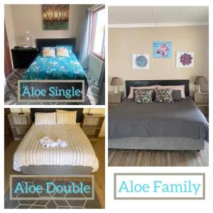 布隆方丹Aloe Guest Rooms的卧室两张照片,配有一张床和一张双人床
