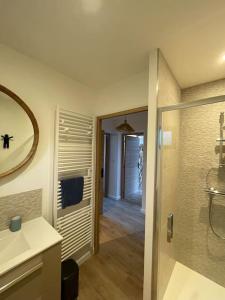 AndéAu bal des hirondelles的带淋浴、盥洗盆和镜子的浴室