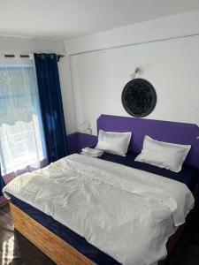 马拉里Tiny Spot Hostel的一间卧室配有一张大床和紫色床头板