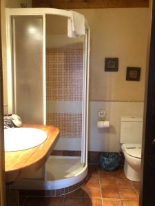 纳瓦夫里亚Posada Real Mingaseda的带淋浴、盥洗盆和卫生间的浴室