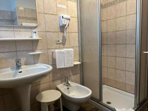 坎皮泰洛迪法萨Hotel Rododendro Val di Fassa的一间带水槽和淋浴的浴室