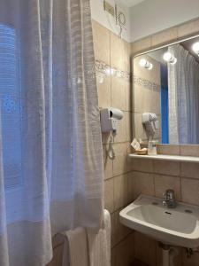 坎皮泰洛迪法萨Hotel Rododendro Val di Fassa的一间带水槽和淋浴帘的浴室