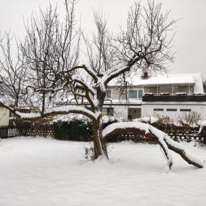 巴特哈尔茨堡Gästehaus Familie Rinke的房子前的雪覆盖的树