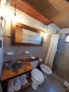 胡宁德洛斯安第斯Santos Lugares Cabañas的浴室设有卫生间和带镜子的盥洗盆