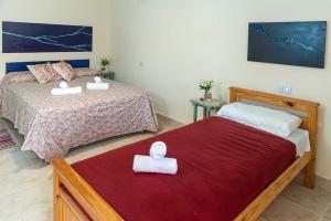 菲安巴拉Amaragua的一间卧室配有两张床和白色毛巾。