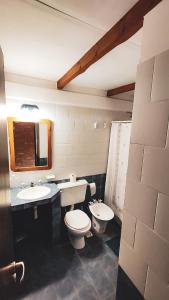 阿卢米内El Hostal del Rio的一间带卫生间、水槽和镜子的浴室