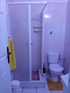 Le Morne RougeKay Anaisa的带淋浴和卫生间的浴室