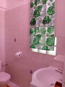 Le Morne RougeKay Anaisa的一间带卫生间和淋浴帘的浴室