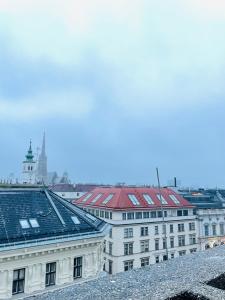 维也纳Luxury in the Heart of Vienna的从建筑物屋顶上可欣赏到风景