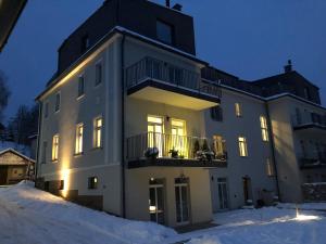 RudníkSoví Hnízdo Apartment De Luxe的夜晚雪中的一个白色大房子