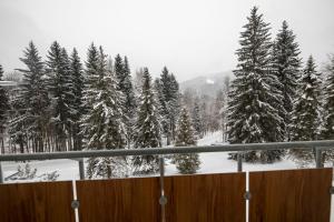 什平德莱鲁夫姆林蒙大拿因泰酒店的享有雪覆盖的树林的景色