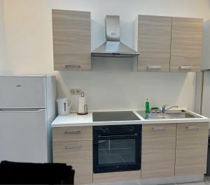 沙勒罗瓦Charbonnel 2 Bruxelles-Charleroi-airport的厨房配有水槽和冰箱