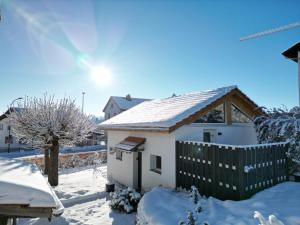 赛尼厄莱吉耶la maisonette的雪覆盖的房屋,有栅栏