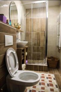 新瓦罗什Apartman Marija的浴室配有卫生间、盥洗盆和淋浴。