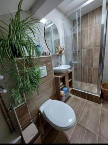 新瓦罗什Apartman Marija的浴室配有卫生间、淋浴和盥洗盆。