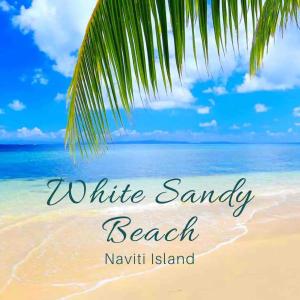 Naviti IslandWhite Sandy Beach-Best Manta Snorkeling的一片棕榈树海滩,白沙滩