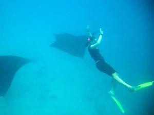 Naviti IslandWhite Sandy Beach-Best Manta Snorkeling的站在水里,拿着雨伞的人