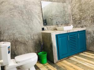 拉特纳普勒Palabaddala Tea and Eco Lodge的一间带水槽、卫生间和镜子的浴室