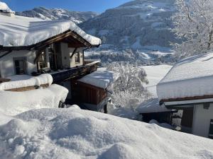 约赫贝格Residenz am Berg的山地雪覆盖的房子