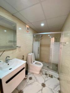 瓦迪拉姆Miral Night Camp的浴室配有卫生间、盥洗盆和淋浴。