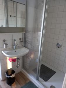 格恩斯巴赫Schöne Ferienwohnung in Gernsbach的一间带水槽和淋浴的浴室