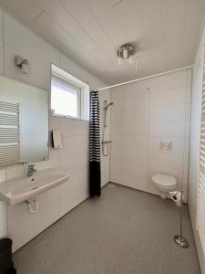 霍芬尼部卡搭宾馆的一间带水槽和卫生间的浴室
