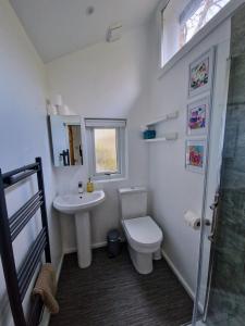 赫尔斯顿Primrose Cottage的浴室配有卫生间、盥洗盆和淋浴。