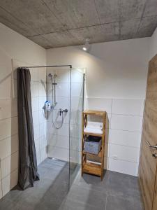 马蒂希霍芬Hajdar & Adem 1的带淋浴和玻璃淋浴间的浴室