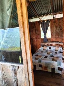 麦德林Sierra de viboral adventures的木制客房的一张床位,设有窗户