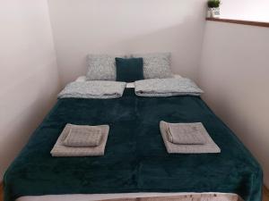 诺维萨德Garden House Novi Sad的一张带两个枕头和绿毯的床